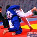 WCPARIS2011 90027